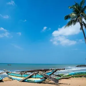 Gasthof Aloe Vera, Negombo